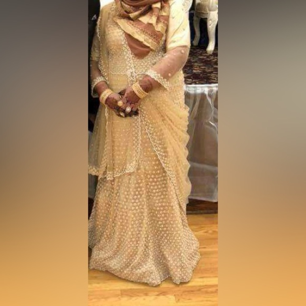 Desi Indian Pakistan wedding reception party wear dress gown